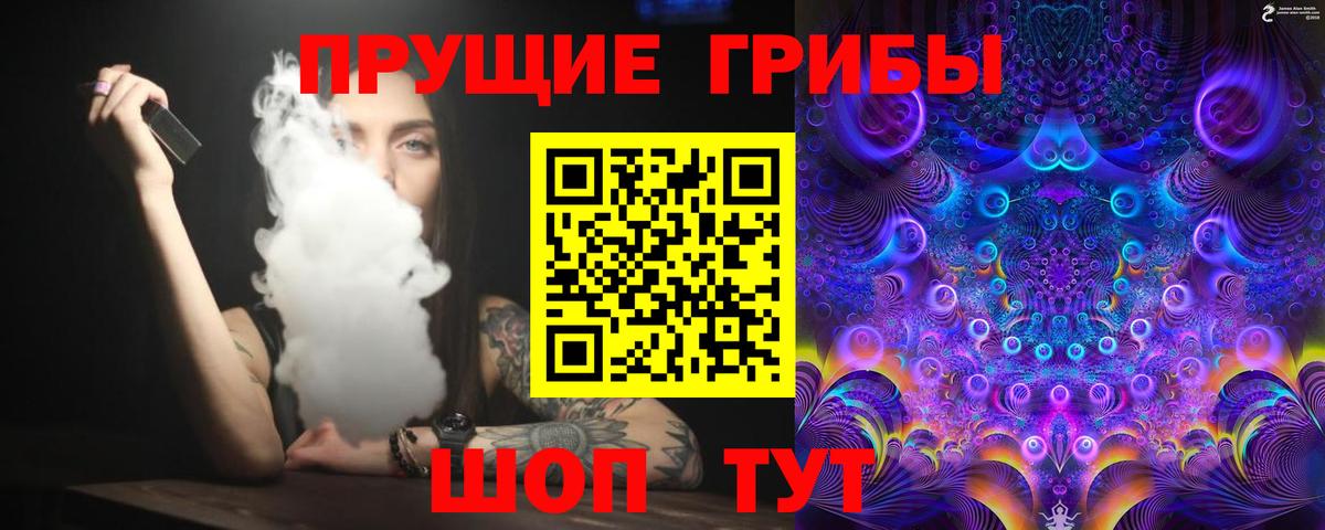 Менделеевск  Галлюциногенные грибы прущие грибы  Вход с VPN  Галлюциногенные грибы Psilocybine cubensis 