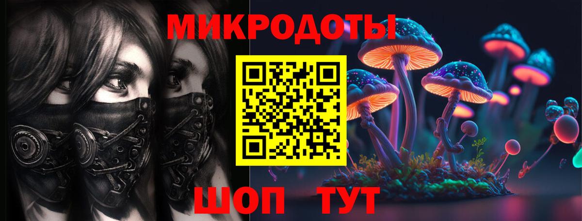Псилоцибиновые грибы Psilocybe Менделеевск